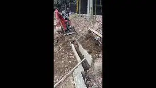 Live: Battle of the Backyard: Excavator vs Nature #110 | God of Ruin akkiro0m