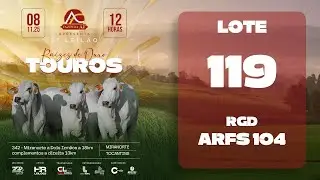 LOTE 119 ARFS 104