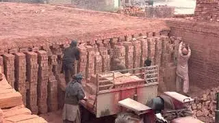 Bricks loading At Zaid bricks company