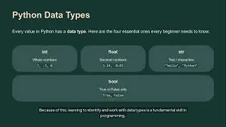 Python Data Types: The Foundation of Every Value