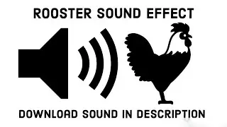 Rooster Sound Effect(Free)