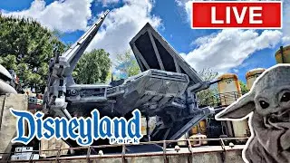 Chill Sunday at Disneyland Resort