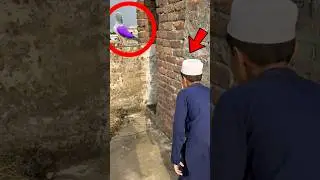 #Chirimari Karnay Ka #New Tarika | #kabootar #pigeonhouse #trap #kabutar #new #ai #trap #best #kabtr