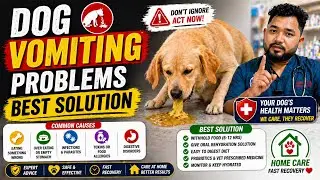dog vomiting || why is my dog vomiting || dog throwing up || dog vomiting causes || dog vomiting ||