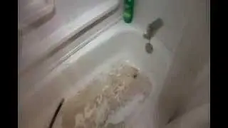 Raw sewage in the tub