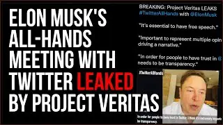 Elon Musk Twitter Meeting LEAKED By Project Veritas
