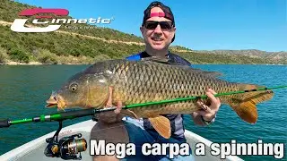 Mega carpa a spinning