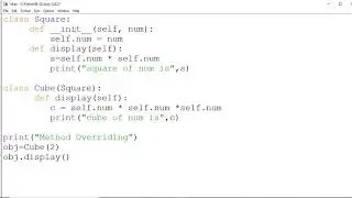 Method Overriding and Super() in Python