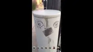 Things that Look Like Faces