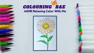 ASMR colouring
