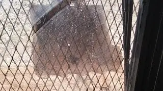 sany 215c, excavator.in action