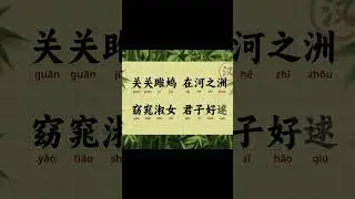 Ancient Chinese Poem Pop Remix (Learn Chinese with Song) | 诗经 - 关雎 Guan Ju #learnchinese