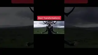 Best Transformtime