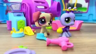Yeni minişlerim ( miniş evim🤩
