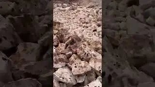 Rock Phosphate Egypt Origin #shortsfeed