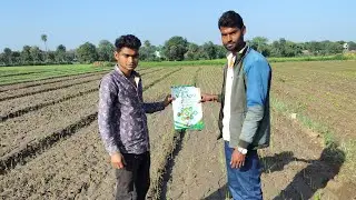 वेदिकाग्ररो भुविटा फसल क़े लिये बहुत ही लाभदायक़ हे #farming #awpl #shorts #viral #vlog #khetibadi 
