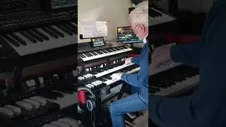 Petit fleur and surprise Viscount Legend Soul & Korg Pa5X by Vedant Meyran from Holland 