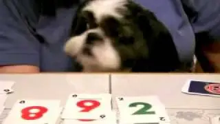 Cowboys & Redskins & Buffie Sue Play Skip-Bo
