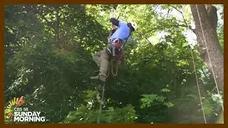 'I just love being outdoors': Fierce competition at the Wisconsin Tree Climbing Competition