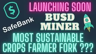 IS SAFEBANK MINER THE MOST SUSTAINABLE BUSD CROPS FARMER FORK ??? FULL ECO SYSTEM LAUNCHING