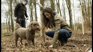 Opening our Tropic Forest with Forestry England in the Hampshire South Downs