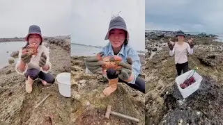 The coastal rocks are home to many crabs #crab #fishing #catching #hunting