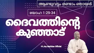 ദൈവത്തിൻ്റെ കുഞ്ഞാട്... #frjoymathias #dailyblessings #malayalam #talks 