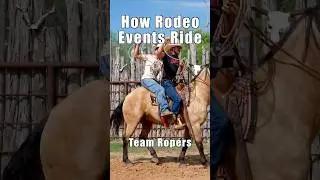 How Different Rodeo Events Ride A Horse