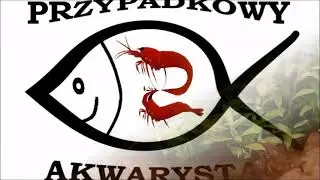 Film 57 Rozpakowywanie - Co będzie w 120 litrach?