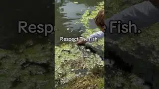 Why? #helpmemakethismakesense #fishing #foryourpage #fishing #fish #fyp