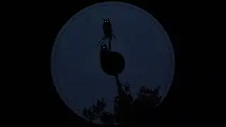 (FREE) LITHE X DON TOLIVER TYPE BEAT - OWL | TYPE BEAT | FREESTYLE BEAT | TRAP TYPE BEAT 2026