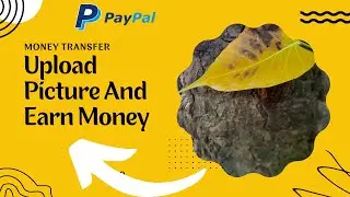 Upload Photo And Earn Money | Earn Money Online | 2022