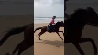 L&acirc;chez les r&ecirc;nes, yallah ! Grand galop sur la plage