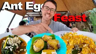 EXTREME Local Thai Food || Northern Feast of Ant Eggs + Buffalo + More!
