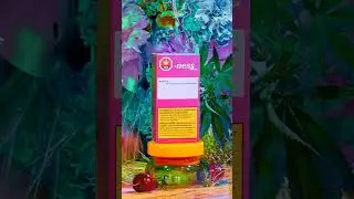 -ness Explore your -ness Cannabis #shorts🇨🇦
