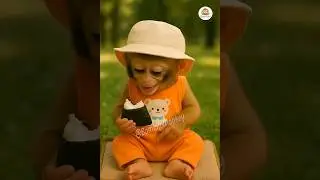 🐒 Monkey Eating Onigiri (Japanese Rice Ball) 🍙 & Laughing 😂