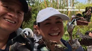 Part 1-Safari Zoo in Chimelong Resort, Guangzhou China