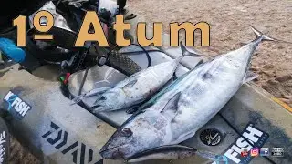 1º Atum | 1st Tuna