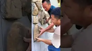 Courtyard Wall Renovation and Beautification