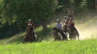 Das Pferdereich Mühlviertler Alm