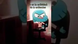 bailo muquo