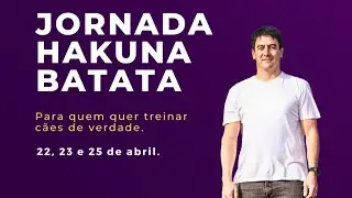 Você está pronto para ser levado a sério como adestrador?