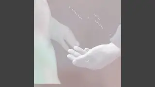 Birdstrike