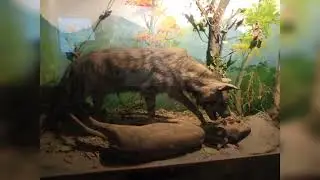 Government Museum - Vellore - 2