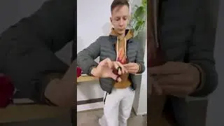 KURSE PROFESIONALE BERBERI