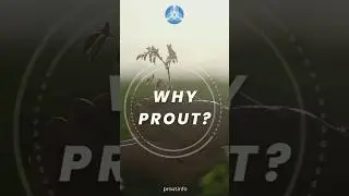 Why Prout?