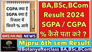 Mjpru Result Revealed: Simplifying SGPA/CGPA to Percentage Calculation #SGPA