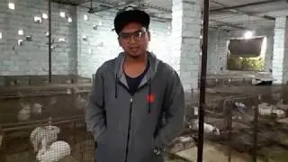 JD Rabbit Farms With Mohd Amir Khan From Hyderabad