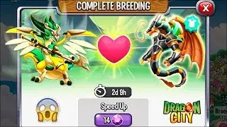 Dragon City: High Virago Dragon vs High Eternal Dragon [EXCLUSIVE BREEDING] 😱