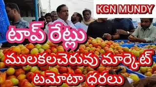 29-01-26 MULAKALACHERUVU tomato market prices today Today tomato market prices in MULAKALACHERUVU